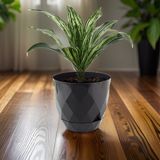 Temmuz Home No4 1 Adet 4,8 Litre Karasu Plastik Yakamoz Saksı - Antrasit