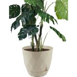 Temmuz Home No4 1 Adet 4,8 Litre Karasu Plastik Yakamoz Saksı - Bej