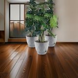 Temmuz Home No4 3 Adet 4,8 Litre Karasu Plastik Yakamoz Saksı - Gri