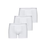 Tender Cotton 3'lü Beyaz Boxer 9670-950 BEYAZ M