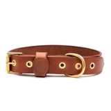 Tengri Handmade Deri Köpek Tasması Açık Kahve M (36-45CM) Cl-Te-T-M