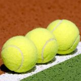 Tenis Topu 3'Lü Set