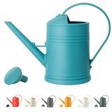 Tennedriv Green İç Mekan Bitkileri için Sulama Kutusu, Çiçek Sulama Kutusu, Bitkiler için Su Kutusu, Yağmurlama Kafalı İç Mekan Sulama Kovası 72 oz, 1/2 Galon