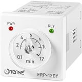 Tense ERP-12DY Zaman Rölesi