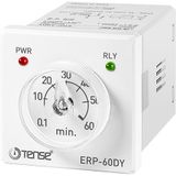 Tense ERP-60DY Zaman Rölesi