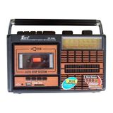 Tepe FP-319U Radyolu Kaset Çalar