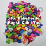Teraryum Çakıl Taşı. Fanus Renkli Taş Dekoratif Renkli Taş