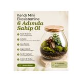 Teraryum Mossora Terra™ Kendin Yap Seti | Canlı Bitkili Kapalı Ekosistem Kiti
