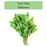 Tere Tohumu 1 Paket Tere Otu Tohumu Geniş Yapraklı Tere Kapalı Paket Yüksek Verimli Tohum