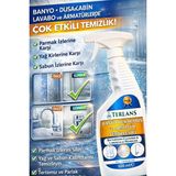 Terlans Banyo Duşakabin Armatür Temizleyici 500 ml