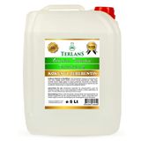 TERLANS Kokusuz Terebentin 5 Litre | Yağlı Boya İnceltici | Kokusuz, Düşük Uçuculu Profesyonel Resim Malzemesi ve Atölye Kullanımı için