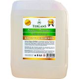 TERLANS Kokusuz Terebentin 5 Litre | Yağlı Boya İnceltici | Tamamen Kokusuz, Düşük Uçuculu Profesyonel Resim Malzemesi ve Atölye Kullanımı için
