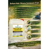 Terlans Parfümlü Halı Yıkama Şampuanı 5 Lt Makine Için Köpük Ve Ph Ayarlı Konsantre Carpet Cleaning Shampoo