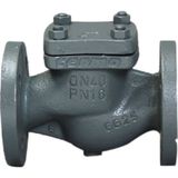 Termo Yaylı Çekvalf, Pn 16 GG25, Flanşlı - DN100