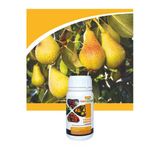 Terra Amino Organik Carbon Azot Potasyum Ve Amino Asit Içerikli Sıvı Organik Gübre 250 Ml Lor025-1