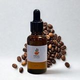Terra Point Art Kahve Esansı 50ML