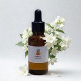 Terra Point Art Yasemin Esansı 50ML