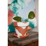 Terracotta Konik Saksı+Tabak • Bohem Beyaz (2'li Set (Küçük+Orta))