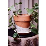 Terracotta Saksı Siyah Beyaz Benekli 16x18