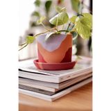 Terracotta Saksı + Tabak Kırmızının Tonları 10x9cm