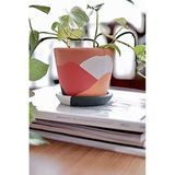 Terracotta Savana Saksı - Orta Boy, Yeşil Ve Sarı Renk