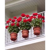 Terracy Home Garden 3’lü Büyük Boy Yuvarlak Saksı Askılığı - Balkon Demiri, Panel Çit ve Korkuluklar Için Geçmeli Saksı Tutucu Askı Aparatı, 20 cm Çap, 10 cm Derinlik, Çelik, Elektrostatik Toz Boyalı