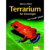 Terrarium für Einsteiger