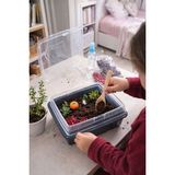 Terrarium Stem Atölyesi 4’lü Set | 6–12 Yaş Fen & Doğa Grup Etkinliği – Mutlulama - Çok Renkli