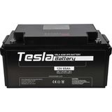 Tesla AGM Kuru Tip UPS 12 V 65 Ah Akü
