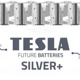 Tesla Silver+ Serisi Alkalin AA Pil (Kalem Pil) Maximum POWER Geleceğin Pillleri (10, AAA)