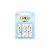 Tesla Toys Boy AA Alkalin Kalem Pil 1.5V LR6/MN1500 Alkalin 4'lü Pk.– Çocuk Oyuncaklarına Özel, Uzun Ömürlü
