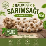 Tespa Ticaret Balıkesir Sarımsağı 1 kg Iri Boy Duble Yeni Mahsul Taze Yerli Doğal Sarımsak