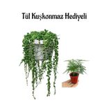Tespih-Boncuk- Bezelye Çiçeği Sevgililer Gününe Özel Tül Kuşkonmaz