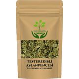 Testere Dişli Aslan Pençesi 50GR - 1 Adet