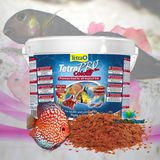 Tetra 10 lt Pro Colour Kova Balık Yemi