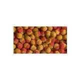 Tetra Cichlid Colour Mini Granules 100 gr Balık Yemi