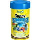 Tetra Guppy Mini Flakes 100 ML Lepistes Balığına özel yem