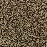 Tetra Reptomin Çubuk Kaplumbağa Yemi Açık 100Gr