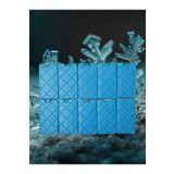 tetra rosa Buz Aküsü Buz Kasedi Ice Box 10 Lu Set