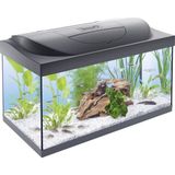 Tetra Starter Line 54 L Akvaryum Komple Set – Gündüz ve Gece Lambası LED Aydınlatma, Iç Filtr - Çok Renkli
