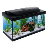 Tetra Starter Line Led Akvaryum 54 Litre