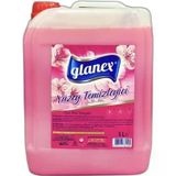 Tex 5 lt Glanex Yüzey Temizleyici