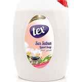 Tex Beyaz Sıvı El Sabunu 5 lt pH 5.5 Nemlendirici Özelliği ile Yumuşak Temizlik Sağlar