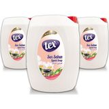 Tex Sivi El Sabunu Beyaz Losyon 5x3 Litre Ph 5.5 3'lü Ekonomik Paket
