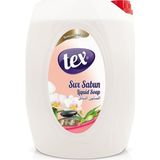 Tex Sıvı Sabun 5lt