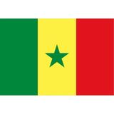 Tezzgelsin Senegal Gönder Bayrağı 70X105 Cm. - Renkli - 1 Adet