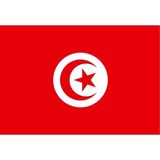 Tezzgelsin Tunus Gönder Bayrağı 100X150 Cm. - Renkli - 1 Adet