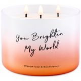 T&H Orange Goji Okaliptüs Kokulu Mum 3 Fitil | Aromaterapi Stres Giderici Okaliptüs Enerji Mumu | Yüksek Kokulu Soya Mumları Temiz Yanık 447 g | You Brighten My World Erkekler ve Kadınlar için Hediyeler