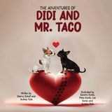 The Adventures of Didi and Mr. Taco