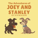 The Adventures Of Joey And Stanley